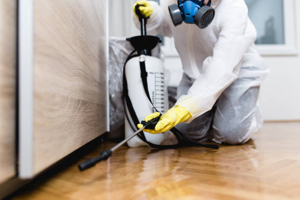 Best Termite Control Services  in Whitewater, KS