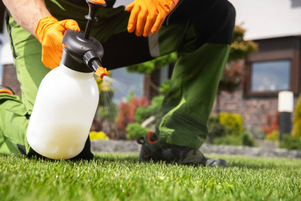 Best Pest Removal Services  in Whitewater, KS