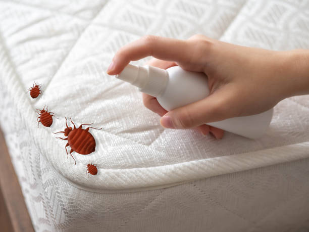 Best Cockroach Control Services  in Whitewater, KS