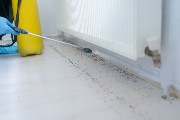Best Exterminator Services  in Whitewater, KS