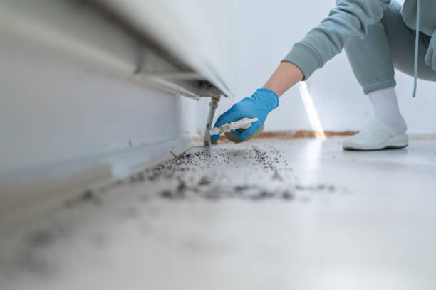 Best Pest Inspection Near Me  in Whitewater, KS