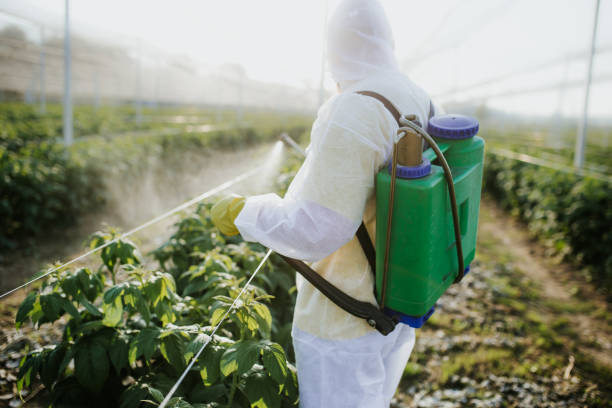 Best Pest Prevention Services  in Whitewater, KS